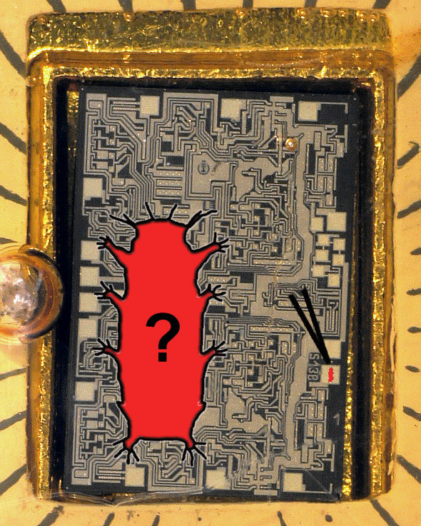 [ Bosch microchip pin, with tardigrade placeholder ]