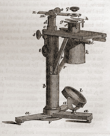 [ dissecting microscope, middle of 19th century ]