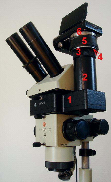 [ the MBS-10 stereo microscope with photographic adapter and a Sony Nex-5 Kamera ]