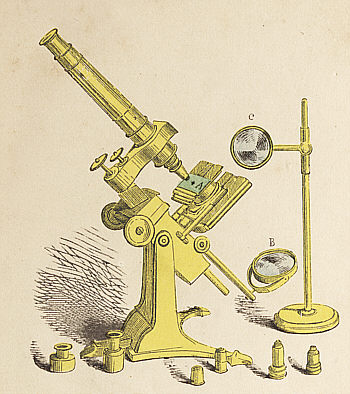[Mrs. Ward's microscope]