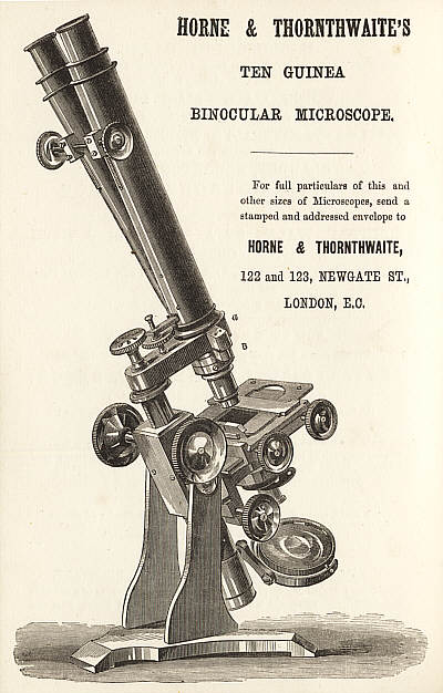 [Binokulares Mikroskop]