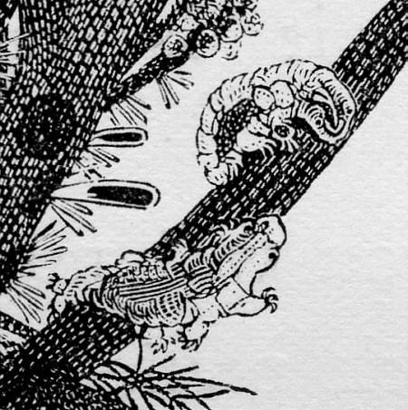 [ Ultra-Einschlaglupe ]