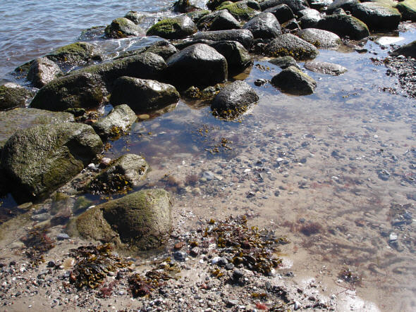 [ Kieler F&ouml;hrde ]