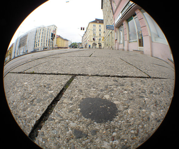 [ "B&auml;rtierchen-Sichtweise" 3 ]