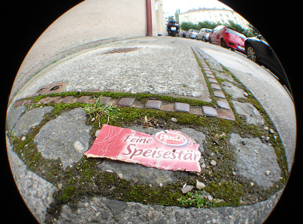 [ "B&auml;rtierchen-Sichtweise" 4 ]