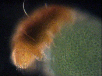 [typische Fundsituation]