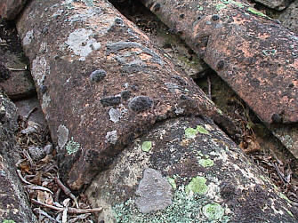 [typische Fundsituation]