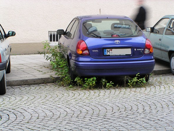 [ Natur vs. Auto ]