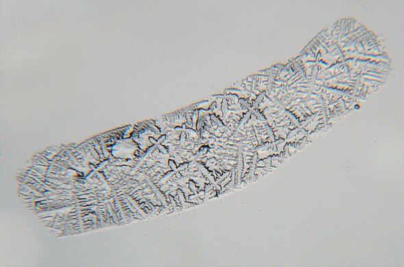 [ A splash of sea water  ... ]