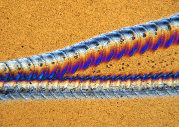 [ Kratzer auf Klebefolie im polarisierten Licht ]