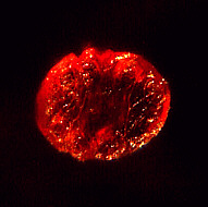 [Trockenform]