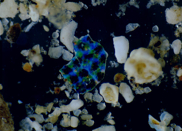 [ Photograph taken by means of the BTC BIM135T microscope ]