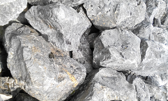 [ Tiny detail of the Munich BUGA area in 2015, 10 years after its creation in 2005 ]