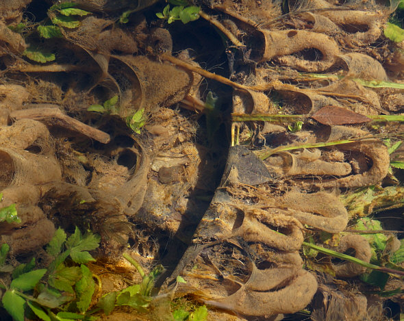 [ Krka National Park, Croatia ]