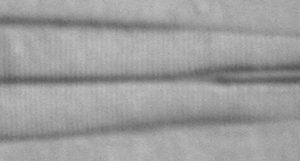 [ Testdiatomee Amphipleura pellucida, mit TWX-1 Ölimmersionsobjektiv betrachtet ]