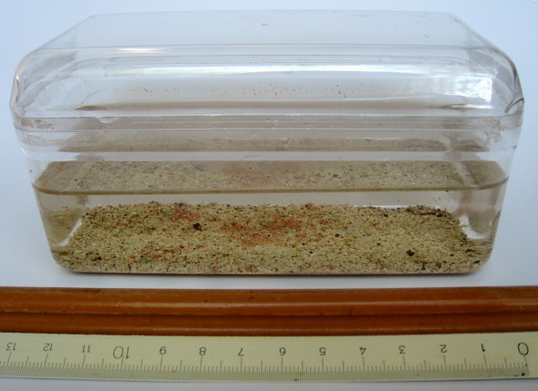 [ "Rocharium" mit B&auml;rtierchen aus Kroatien ]