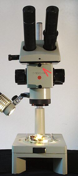 [ The MBS-10 stereo microscope ]