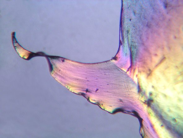 [ Colours of a small piece of plastic film as seen under polarized light ]