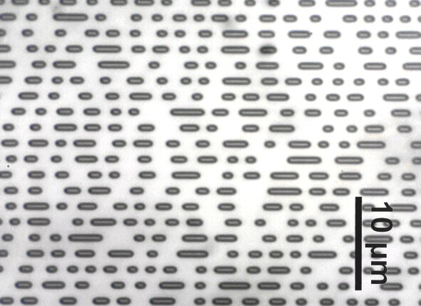 [ a CD unter the microscope ]