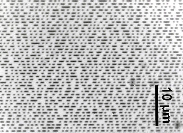 [a DVD under the microscope ]