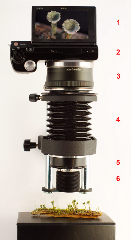 [ Mirrorless digital system camera with bellows and Noritsu loupe objective]