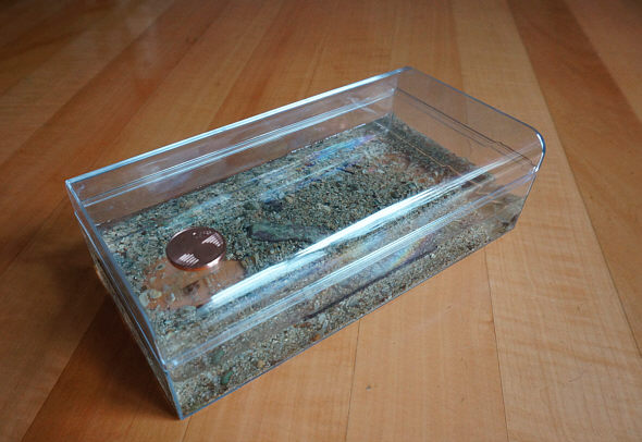 [ <Mon Cherie> Mikro-Aquarium ]