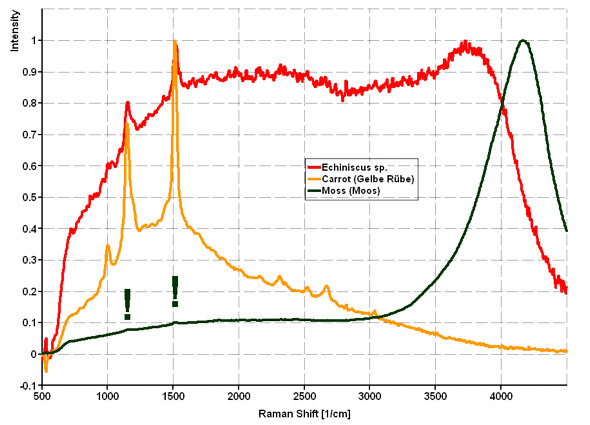 [ tardigrade Raman spectroscopy ]