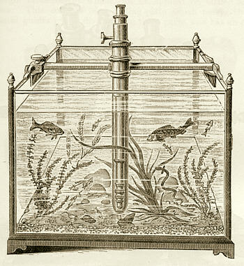 [ Aquarienmikroskop ]