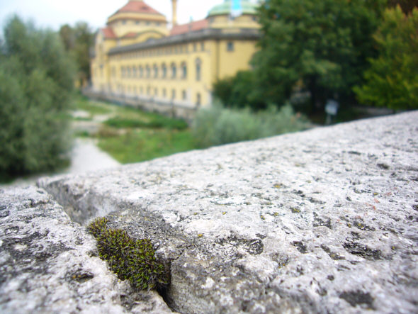 [ Isar re-naturalization ]