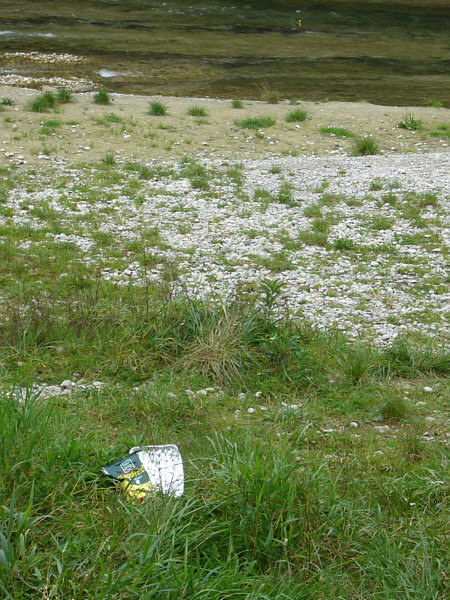 [ Isar re-naturalization ]