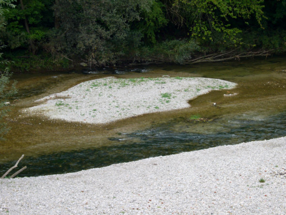 [ Isar re-naturalization ]