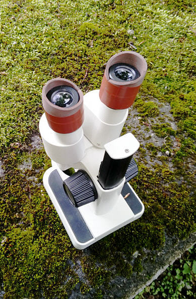 [ Umgebautes Stereomikroskop ]