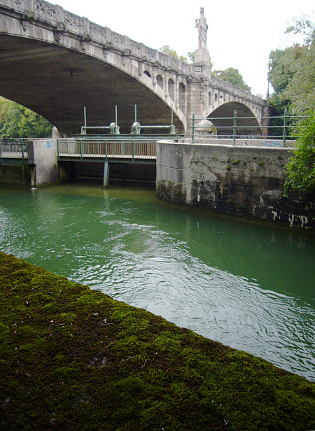 [ tardigrade biotope ]
