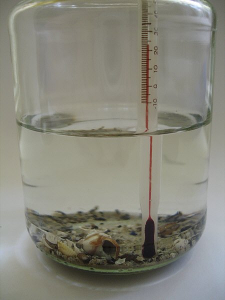 [ Mikroaquarium mit Sand und Wasser von der Ostsee ]