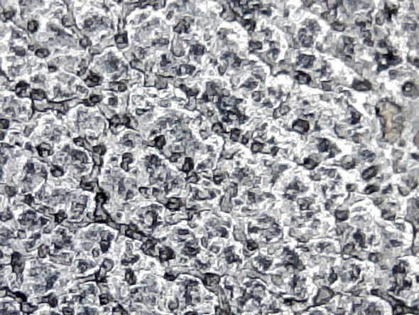 [USB microcope (Ebay), demo image: black leather]