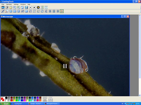 [ USB microscope software ]