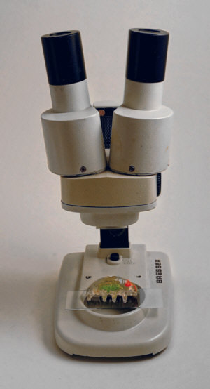 [ Bresser dissecting microscope ]