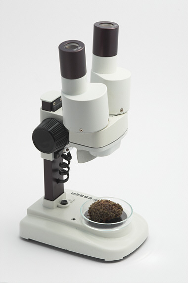 [ Einfaches Stereomikroskop, wohl aus China ]