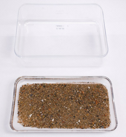 [ Batillipes aquarium ]