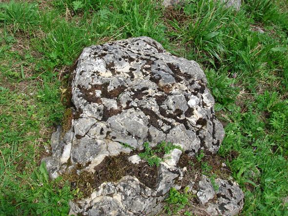 [ Kleiner Felsen, Ort der Probenahme ]